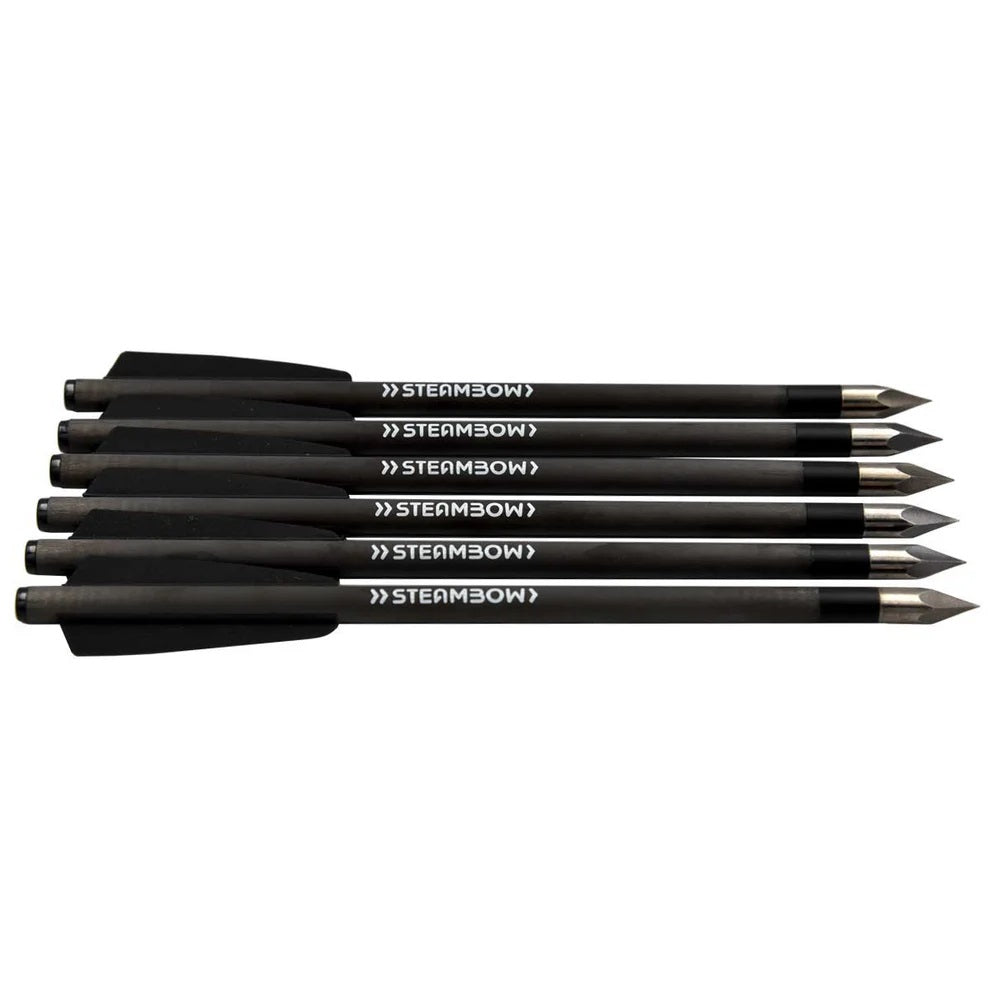 Steambow Carbonpfeile leichte Bodkinpfeile - AR-Series
