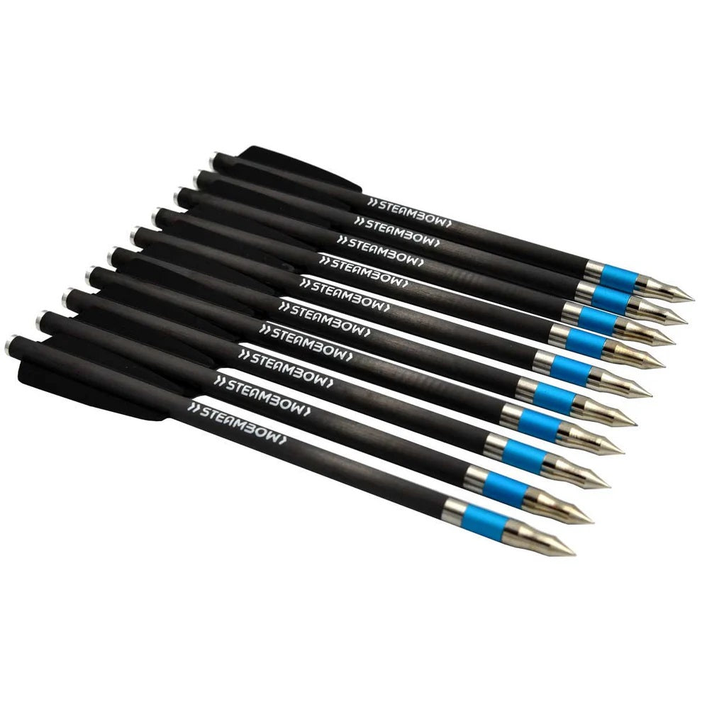 Steambow Carbonpfeile schwere Sportpfeile - AR-Series