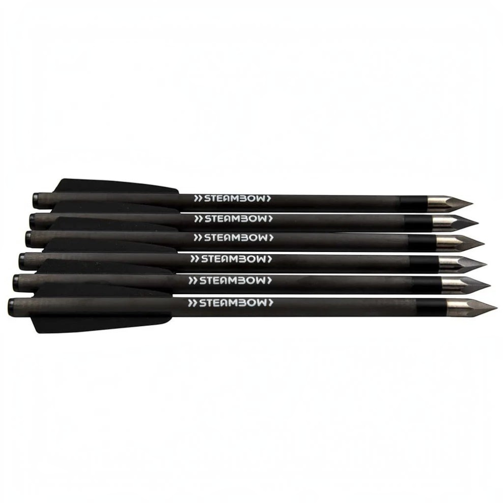 id-paintball Steambow Carbon-Bodkinpfeile mit schwarzem Schaft und gehärteter Stahlspitze für die AR-Series Armbrust