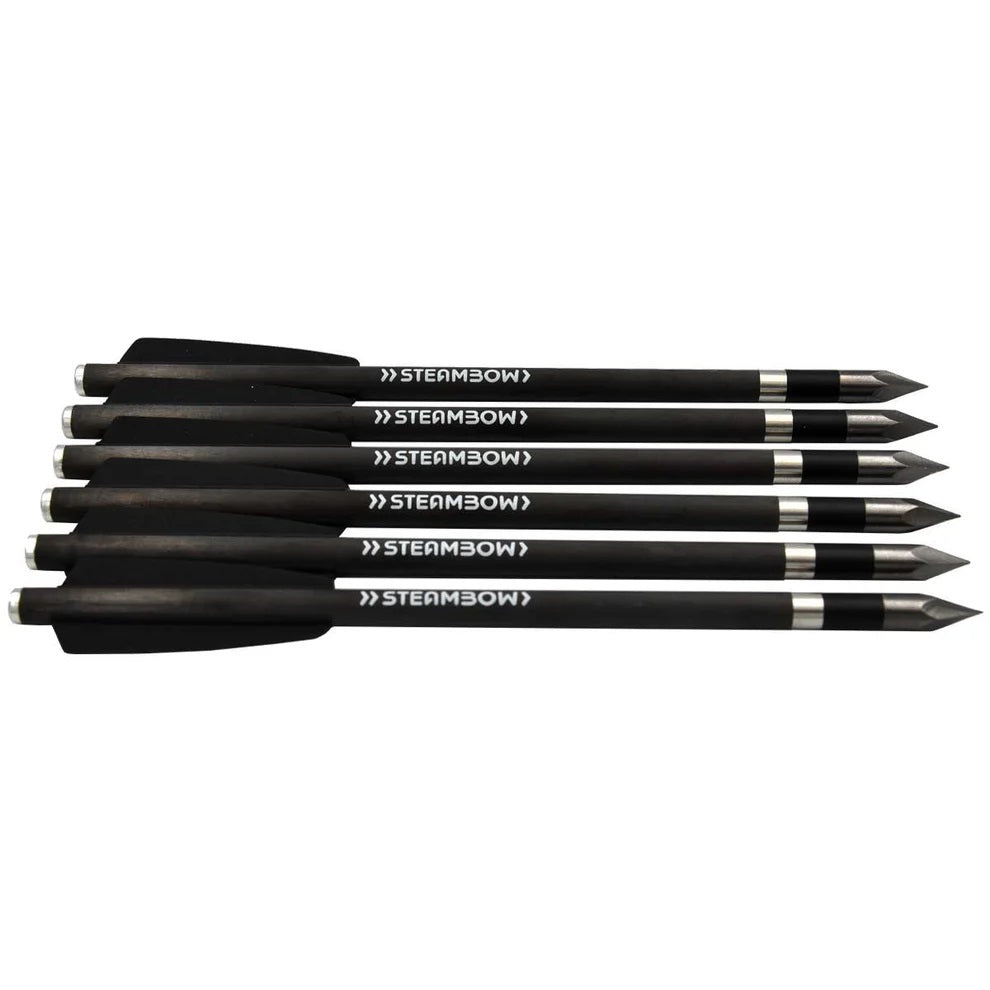 Steambow Carbonpfeile schwere Bodkinpfeile - AR-Series