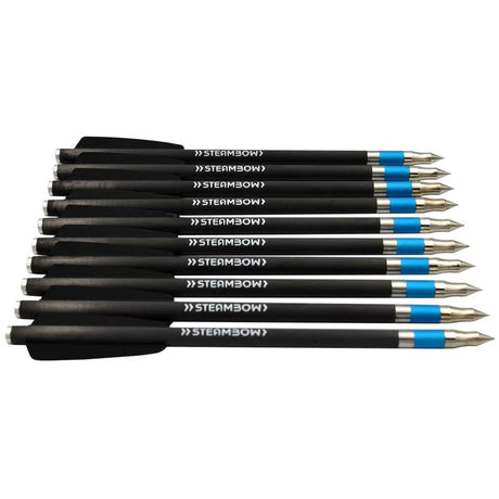 Steambow Carbonpfeile schwere Sportpfeile - AR-Series