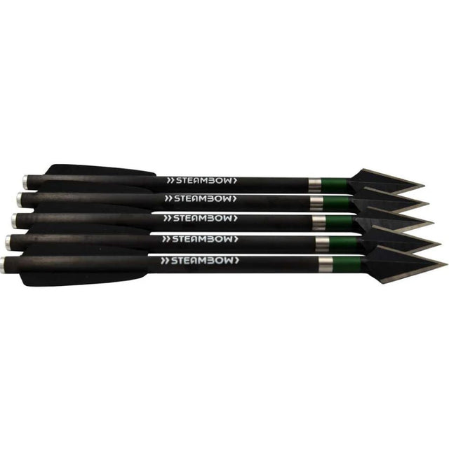 Steambow Carbonpfeile schwere Kriegspfeile 90+ lbs - AR-Series