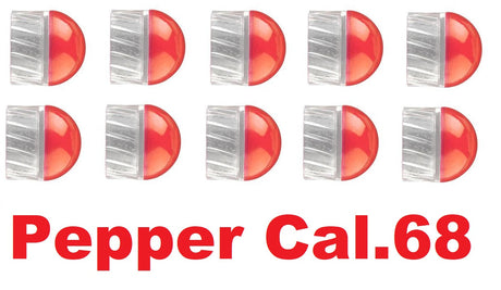 T4E PBP PEB 68 Prec Pepperballs Pfeffergeschosse Cal. 68